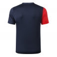 France T-Shirts 20/21 color